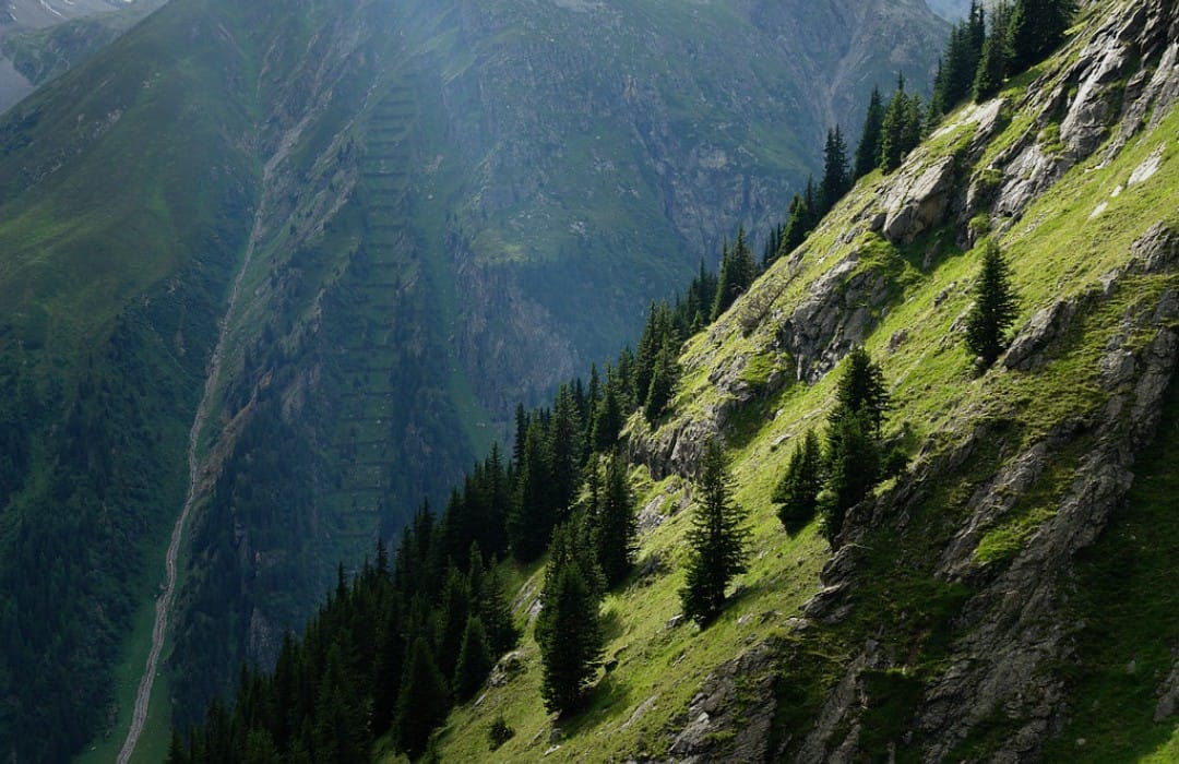 Adika Bawum (High elevation)