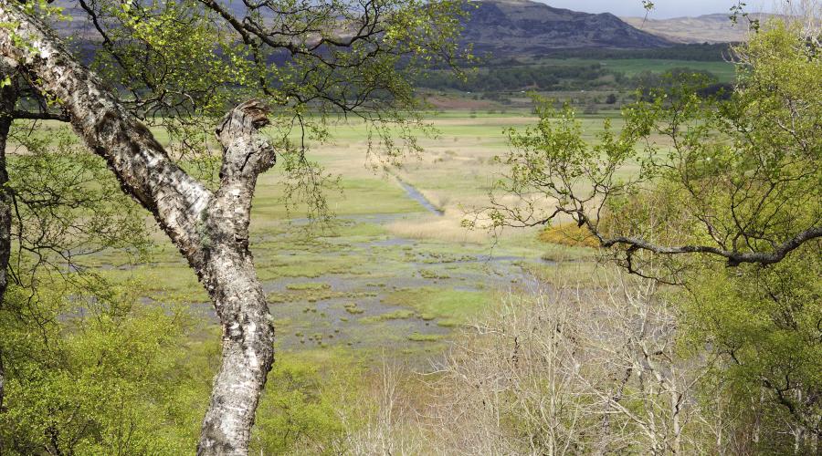 Mada Bawum (Lowland)